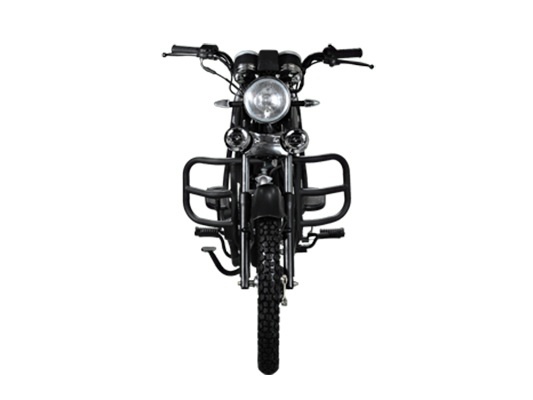 Фото мотоцикла Wels Truespirit